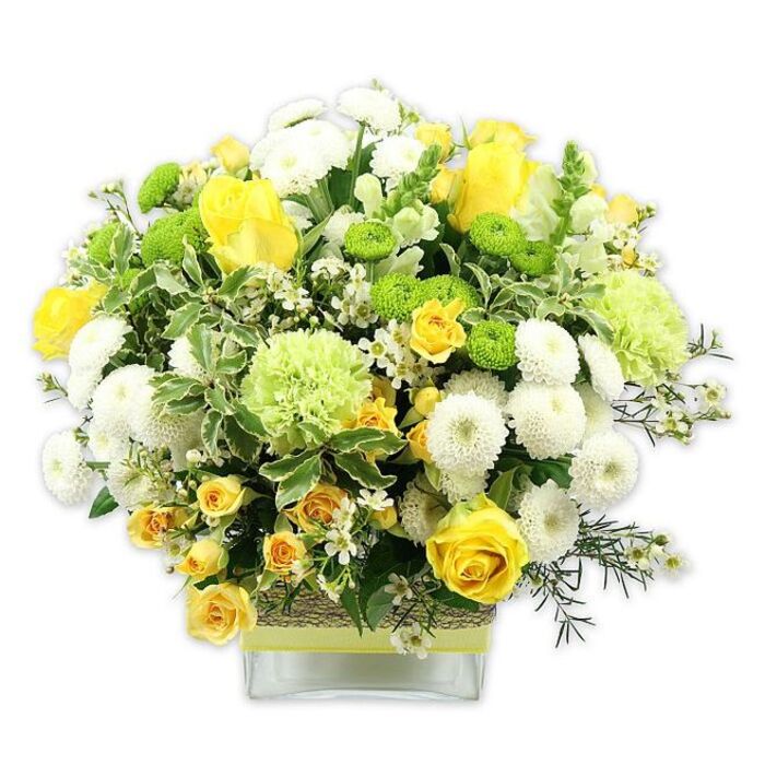A striking floral arrangement sits proudly in a low, clear, square glass vase, its rounded profile bursting with harmonious shades of yellow, white, and green, photographed cleanly against a white backdrop. The focal blooms are sunny yellow roses, their petals layered and velvety, some blossoms fully open like small suns, others gently cupped as if still waking up. Intermingled with them are clusters of miniature yellow spray roses that add detail and rhythm, and dense white pompom chrysanthemums whose tight, spherical heads provide a soft, tactile contrast. Scattered between these are vivid lime green button chrysanthemums, perfectly button-sized and globe-shaped, punctuating the design like playful notes. Larger, loosely ruffled pale green flowers-reminiscent of fancy green carnations or decorative mums-add a gentle, cloudlike fullness. A tapestry of foliage supports the blooms: generous variegated leaves edged in creamy white, finer dark green leaves, and delicate sprigs of filler greenery that weave through the composition. Tiny white starry filler flowers glimmer in the gaps, giving a sense of light and breath. The glass vase exposes the neat stems, while its centre is encircled by a rustic band of woven natural material, topped with a fresh lime green ribbon that picks up the tones of the button mums and adds a stylish, contemporary accent. The overall mood is one of warmth, freshness, and quiet celebration, akin to the calm after a spring shower over White City's tree-lined streets. Crafted with a florist's eye for balance and texture, this design would feel at home brightening a living room near Westfield, lifting the mood in a workplace off Wood Lane, or serving as a joyful centrepiece for a family gathering.